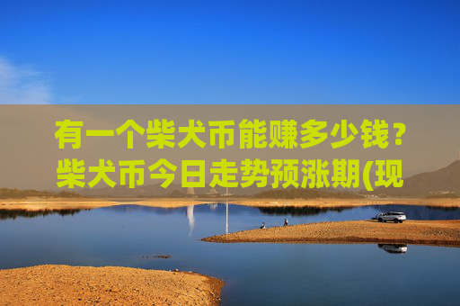 有一个柴犬币能赚多少钱?柴犬币今日走势预涨期(现价0.00022739元)