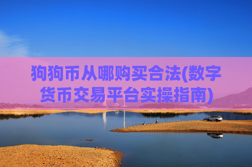 狗狗币从哪购买合法(数字货币交易平台实操指南)