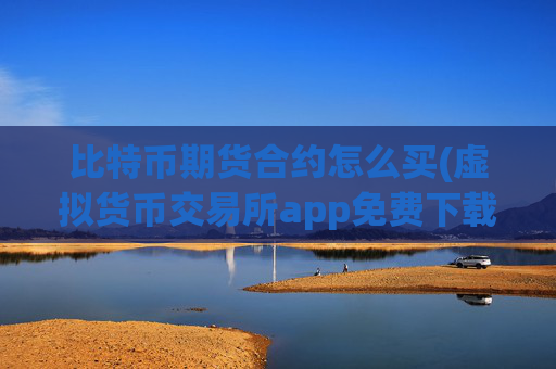 比特币期货合约怎么买(虚拟货币交易所app免费下载)