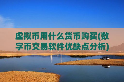 虚拟币用什么货币购买(数字币交易软件优缺点分析)