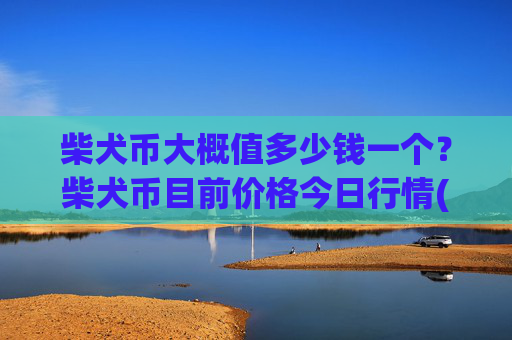 柴犬币大概值多少钱一个?柴犬币目前价格今日行情(现价0.00022854元)