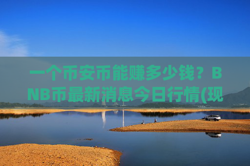 一个币安币能赚多少钱?BNB币最新消息今日行情(现价5260.6元)