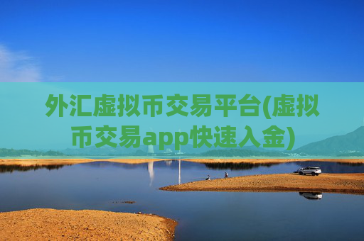 外汇虚拟币交易平台(虚拟币交易app快速入金)