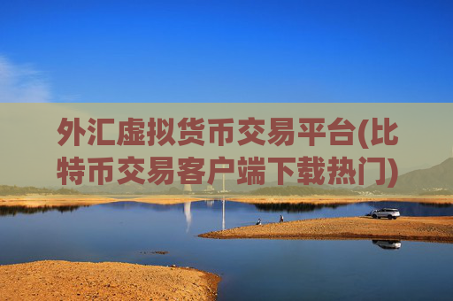 外汇虚拟货币交易平台(比特币交易客户端下载热门)