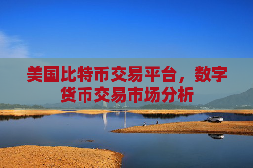 美国比特币交易平台,数字货币交易市场分析