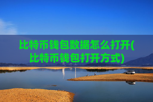 比特币钱包数据怎么打开(比特币钱包打开方式)