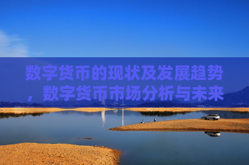 数字货币的现状及发展趋势,数字货币市场分析与未来展望