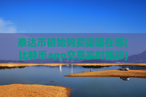 泰达币初始购买渠道在哪(比特币app交易实时跟踪)