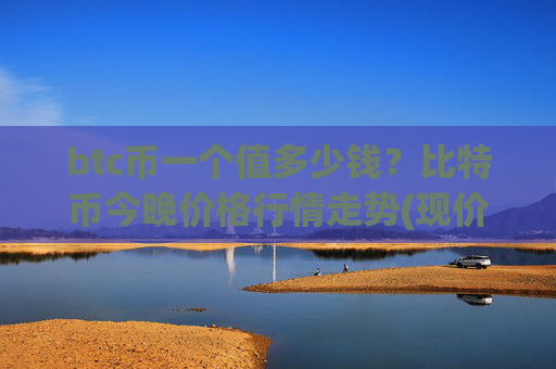 btc币一个值多少钱？比特币今晚价格行情走势(现价736860.96元)