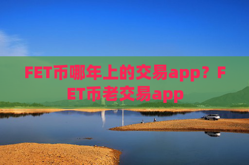 FET币哪年上的交易app？FET币老交易app