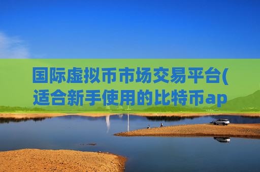 国际虚拟币市场交易平台(适合新手使用的比特币app)