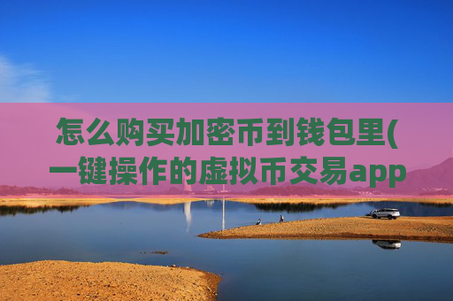 怎么购买加密币到钱包里(一键操作的虚拟币交易app)