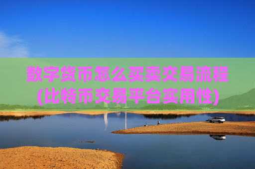 数字货币怎么买卖交易流程(比特币交易平台实用性)