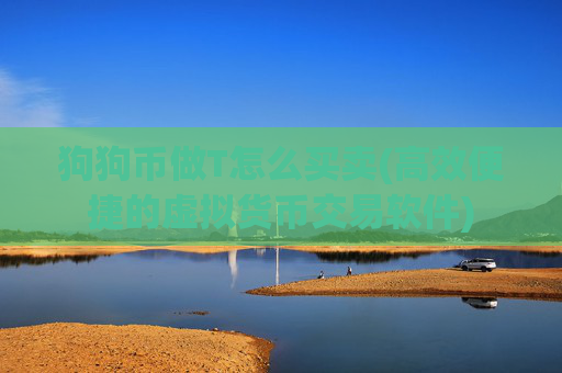 狗狗币做T怎么买卖(高效便捷的虚拟货币交易软件)