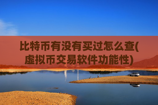 比特币有没有买过怎么查(虚拟币交易软件功能性)