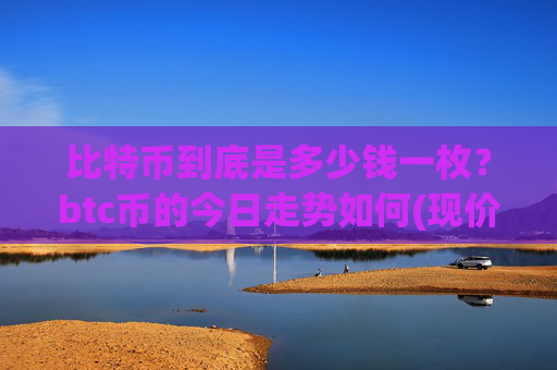 比特币到底是多少钱一枚？btc币的今日走势如何(现价733811.91元)