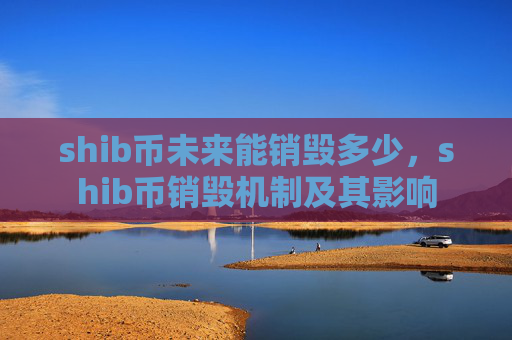 shib币未来能销毁多少,shib币销毁机制及其影响