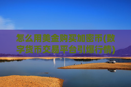 怎么用美金购买加密币(数字货币交易平台引爆行情)