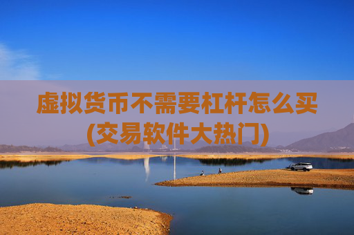 虚拟货币不需要杠杆怎么买(交易软件大热门)