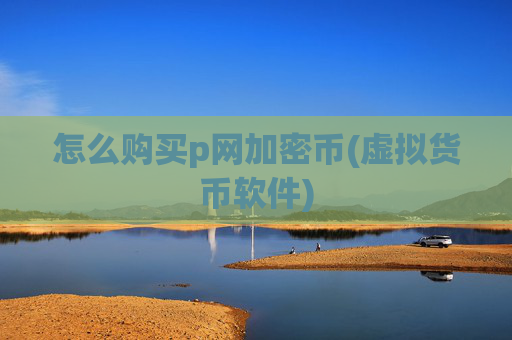 怎么购买p网加密币(虚拟货币软件)