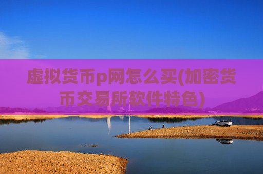 虚拟货币p网怎么买(加密货币交易所软件特色)