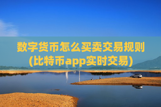 数字货币怎么买卖交易规则(比特币app实时交易)