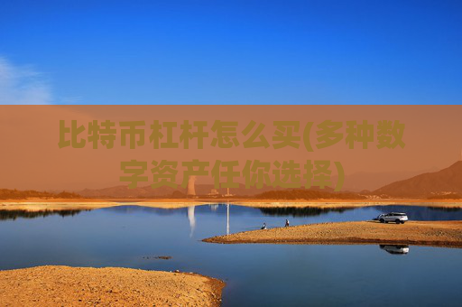 比特币杠杆怎么买(多种数字资产任你选择)