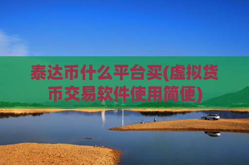泰达币什么平台买(虚拟货币交易软件使用简便)