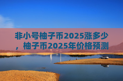 非小号柚子币2025涨多少,柚子币2025年价格预测分析
