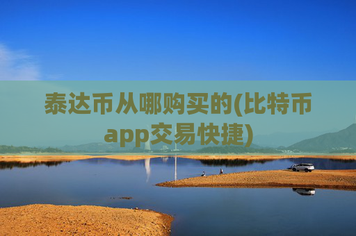 泰达币从哪购买的(比特币app交易快捷)