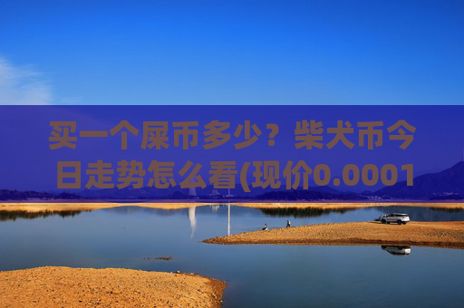 买一个屎币多少?柴犬币今日走势怎么看(现价0.0001577元)