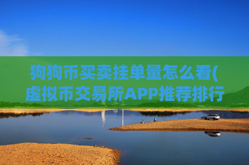 狗狗币买卖挂单量怎么看(虚拟币交易所APP推荐排行)