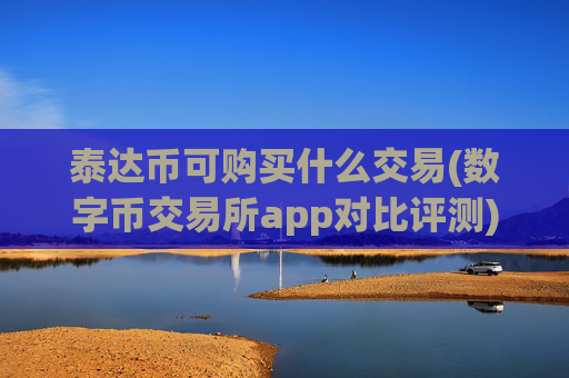 泰达币可购买什么交易(数字币交易所app对比评测)