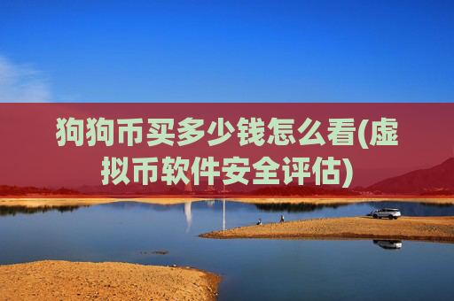 狗狗币买多少钱怎么看(虚拟币软件安全评估)