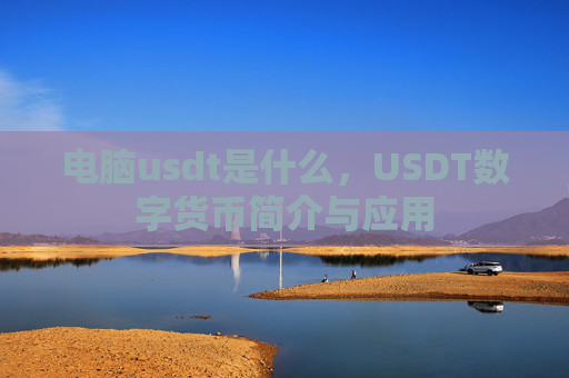 电脑usdt是什么,USDT数字货币简介与应用