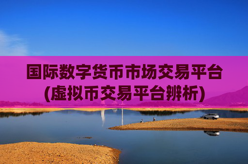 国际数字货币市场交易平台(虚拟币交易平台辨析)