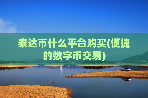 泰达币什么平台购买(便捷的数字币交易)
