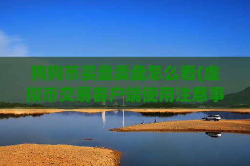狗狗币买盘卖盘怎么看(虚拟币交易客户端使用注意事项)