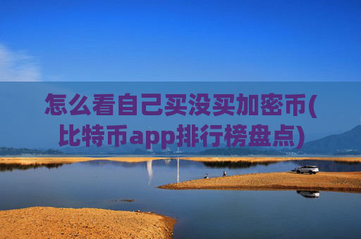 怎么看自己买没买加密币(比特币app排行榜盘点)