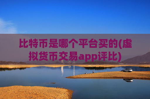 比特币是哪个平台买的(虚拟货币交易app评比)