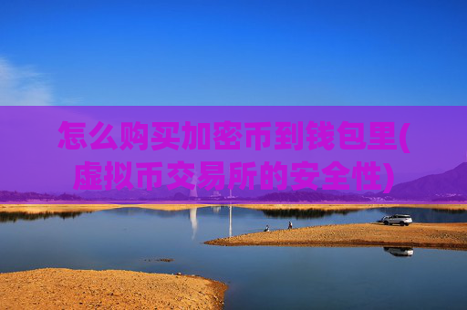 怎么购买加密币到钱包里(虚拟币交易所的安全性)