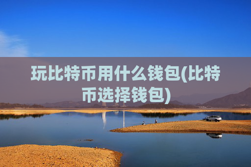 玩比特币用什么钱包(比特币选择钱包)