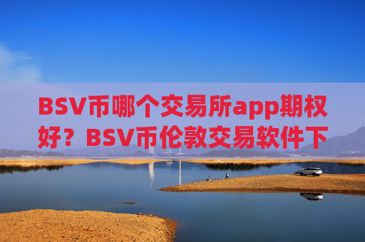 BSV币哪个交易所app期权好?BSV币伦敦交易软件下载