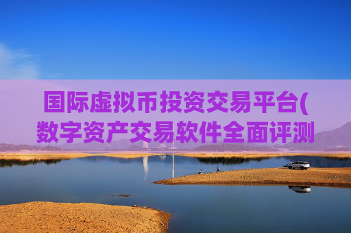 国际虚拟币投资交易平台(数字资产交易软件全面评测)
