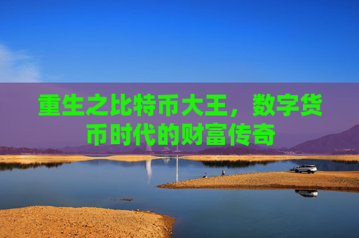 重生之比特币大王,数字货币时代的财富传奇