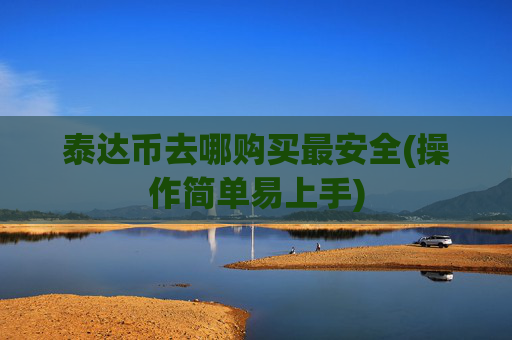 泰达币去哪购买最安全(操作简单易上手)