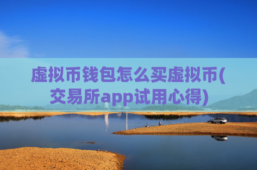 虚拟币钱包怎么买虚拟币(交易所app试用心得)