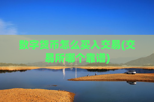 数字货币怎么买入交易(交易所哪个靠谱)