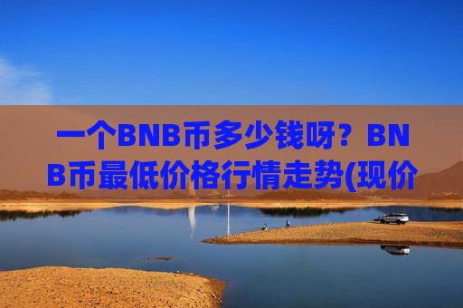一个BNB币多少钱呀?BNB币最低价格行情走势(现价5277.15元)