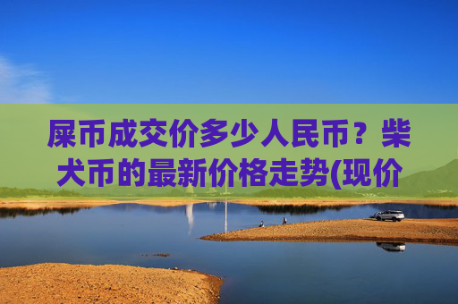 屎币成交价多少人民币?柴犬币的最新价格走势(现价0.00022891元)